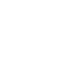 Fruto do Ser