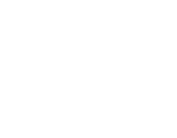 Will Brunello Treinador